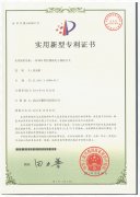 实用电子保险专利证书
